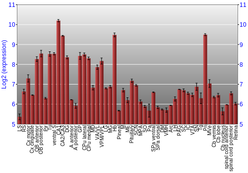 Expression graph