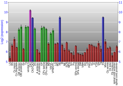 Multi-state expression graph