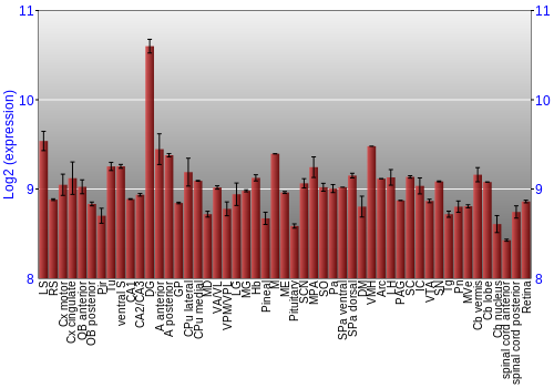 Expression graph