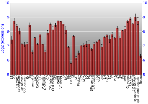 Expression graph