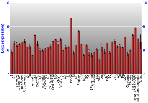 Expression graph