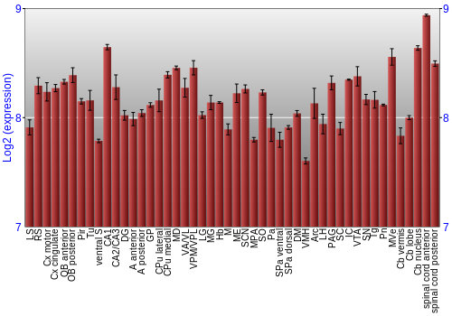 Multi-state expression graph