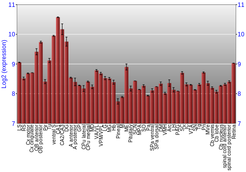 Expression graph