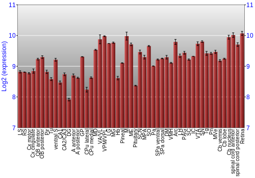 Expression graph