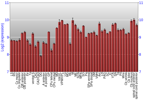 Multi-state expression graph