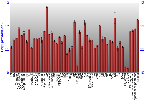 Expression graph