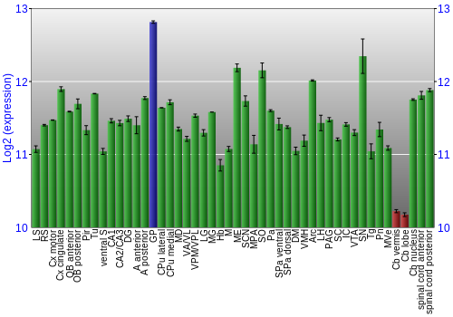 Multi-state expression graph