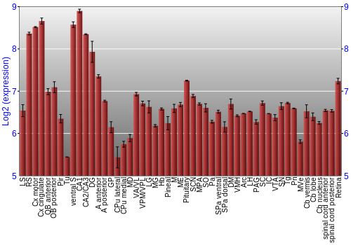 Expression graph