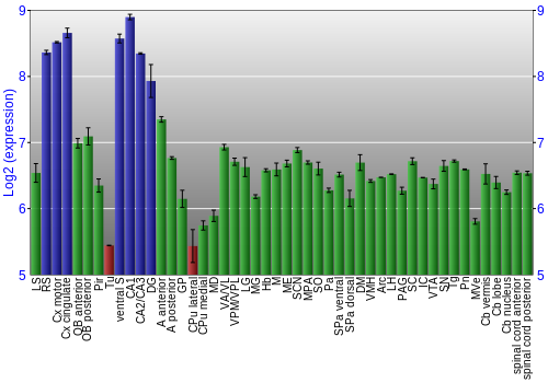 Multi-state expression graph