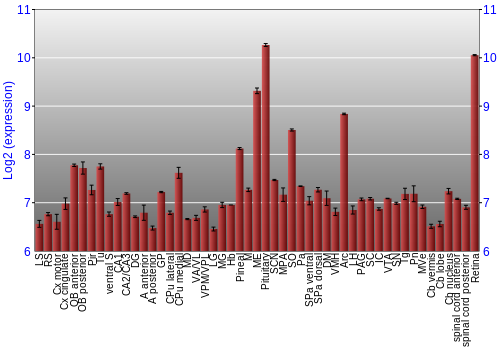 Expression graph