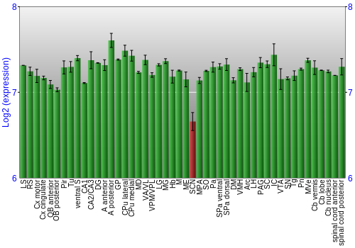 Multi-state expression graph