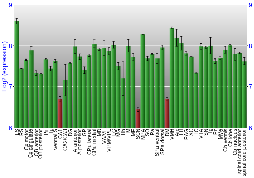 Multi-state expression graph