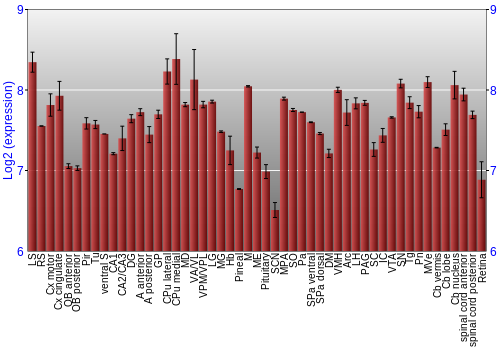 Expression graph