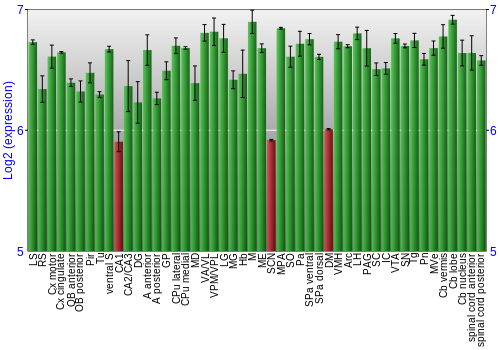 Multi-state expression graph