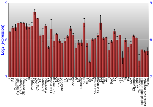 Expression graph