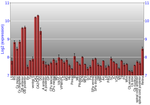 Expression graph