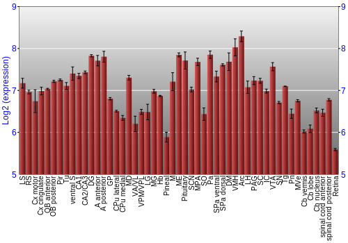 Expression graph
