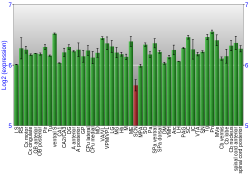 Multi-state expression graph