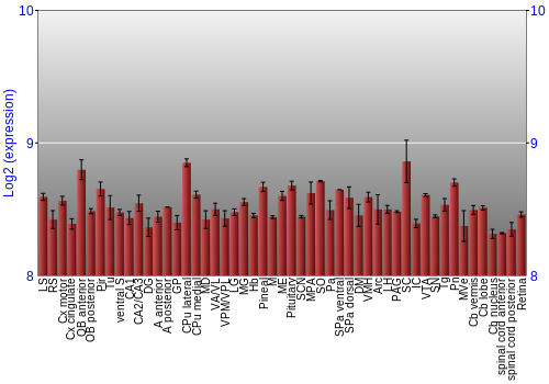 Expression graph