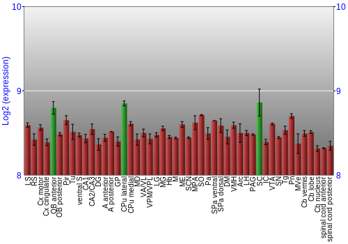 Multi-state expression graph