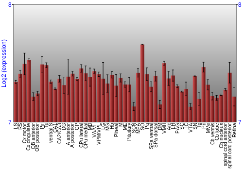 Expression graph