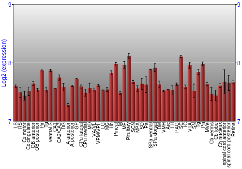 Expression graph