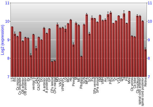 Expression graph