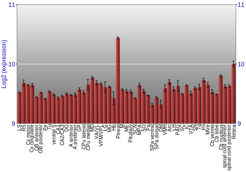 Expression graph