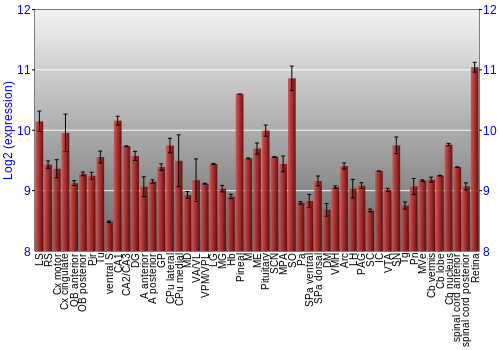 Expression graph