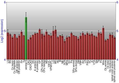 Multi-state expression graph