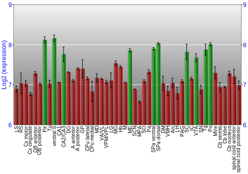 Multi-state expression graph