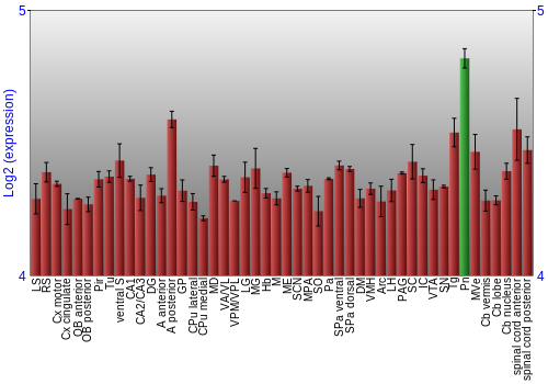 Multi-state expression graph