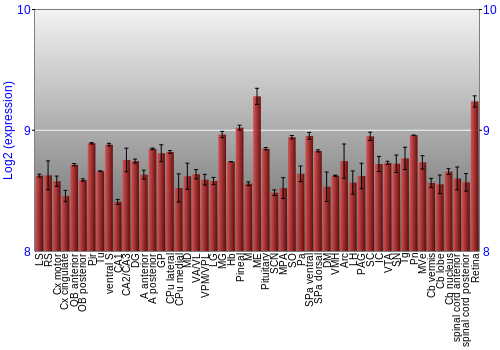 Expression graph
