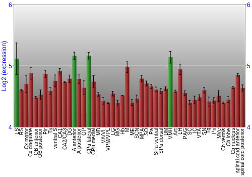 Multi-state expression graph
