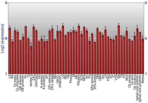 Expression graph