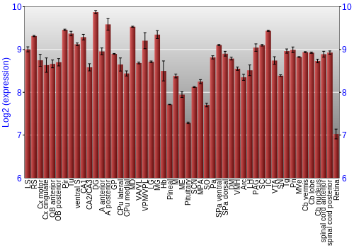 Expression graph