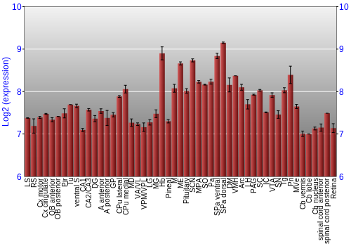 Expression graph