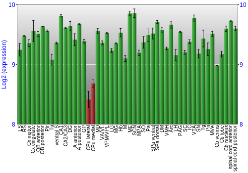 Multi-state expression graph