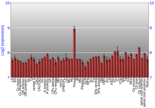 Expression graph