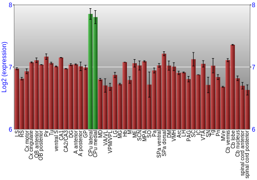 Multi-state expression graph