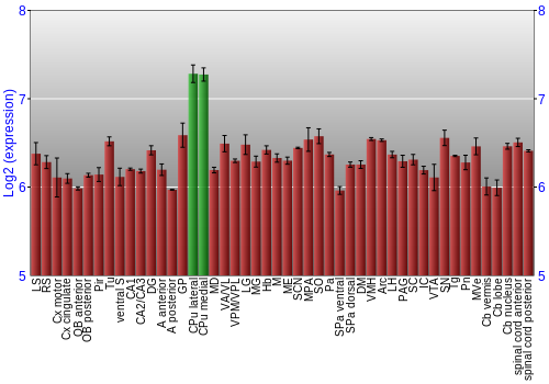 Multi-state expression graph