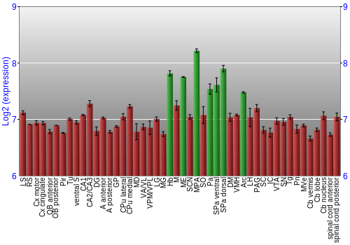 Multi-state expression graph