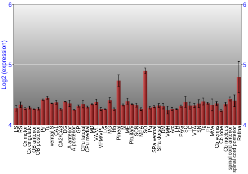 Expression graph