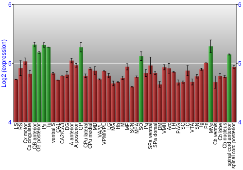 Multi-state expression graph