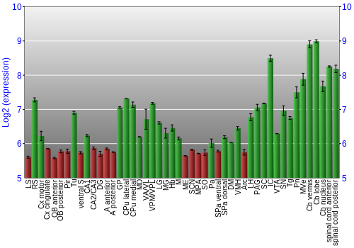 Multi-state expression graph