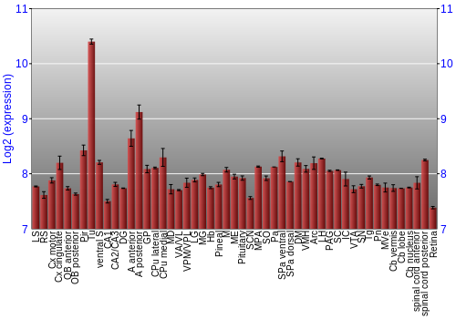 Expression graph