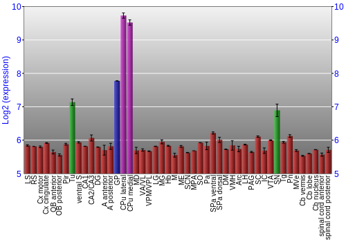 Multi-state expression graph