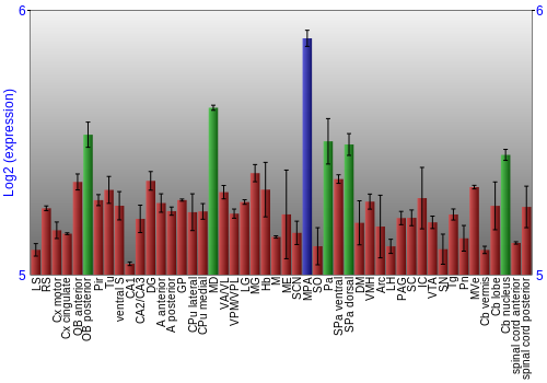 Multi-state expression graph