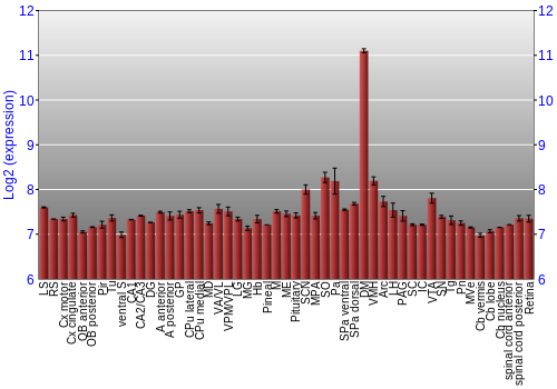 Expression graph