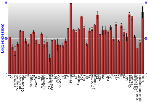 Expression graph